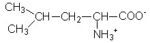 L-Leucine